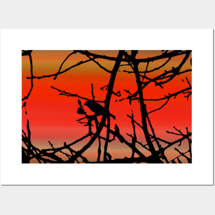 House Finch In Tree Silhouette on Tuscan Sunset Posters and Art